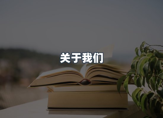 专业团队